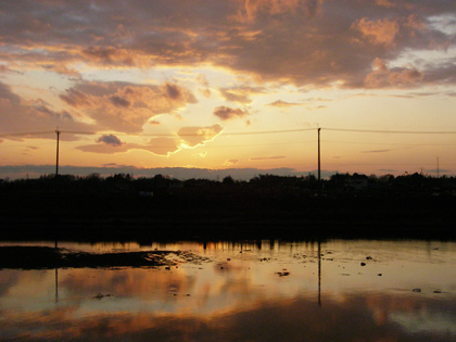 d0045295_15254171.jpg