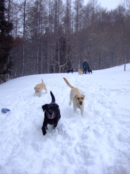 f0001698_22573583.jpg