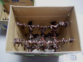 f0032403_062611.jpg