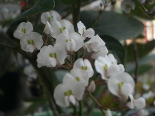 b0061107_23502631.jpg