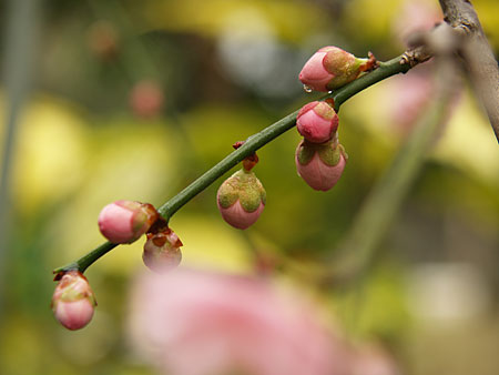 a0041508_2385173.jpg