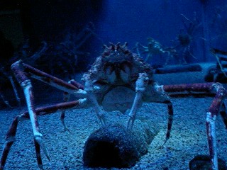 e0034910_341765.jpg