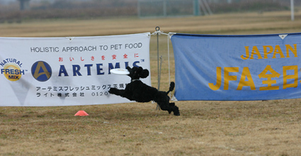 f0108112_0243372.jpg