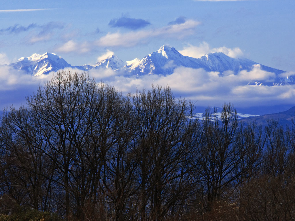 f0035323_1145535.jpg