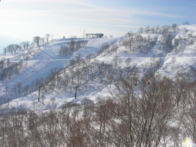 e0089227_1510696.jpg