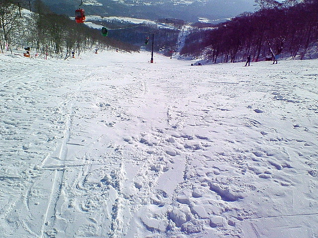 e0089227_159024.jpg
