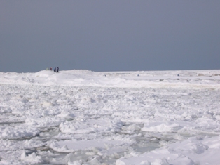 e0103128_13512127.jpg