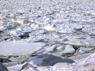 e0103128_13514592.jpg