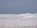e0103128_1405189.jpg