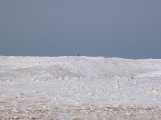 e0103128_1411453.jpg