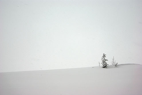 e0025030_17241758.jpg