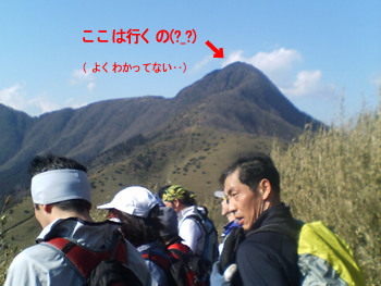 d0107938_13342921.jpg