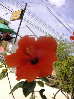 e0027447_2214671.jpg
