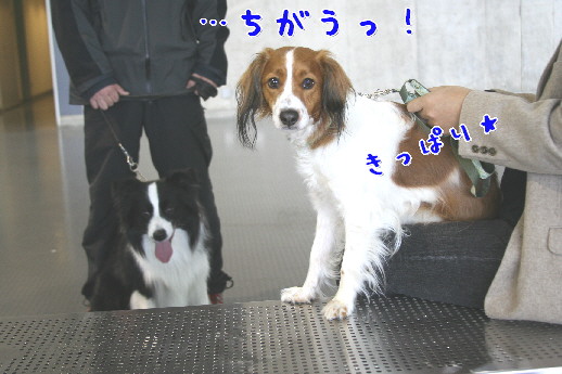 d0013149_0104166.jpg