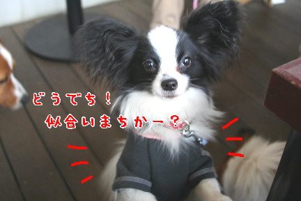d0013149_041840.jpg
