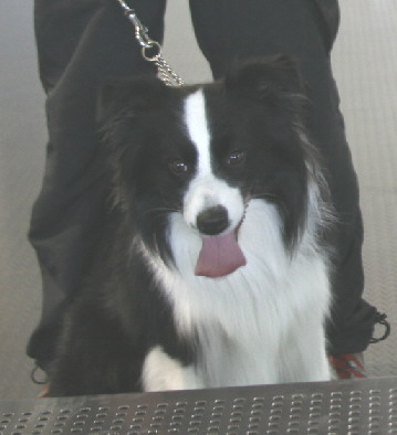 d0013149_055318.jpg