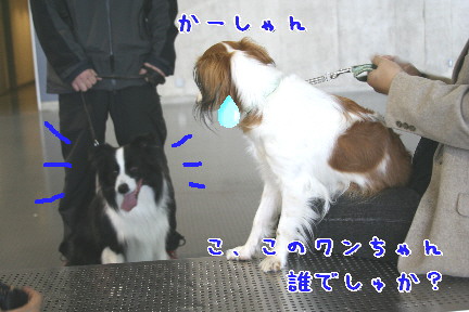 d0013149_073621.jpg
