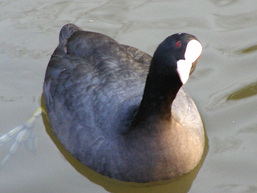 e0064158_2255434.jpg