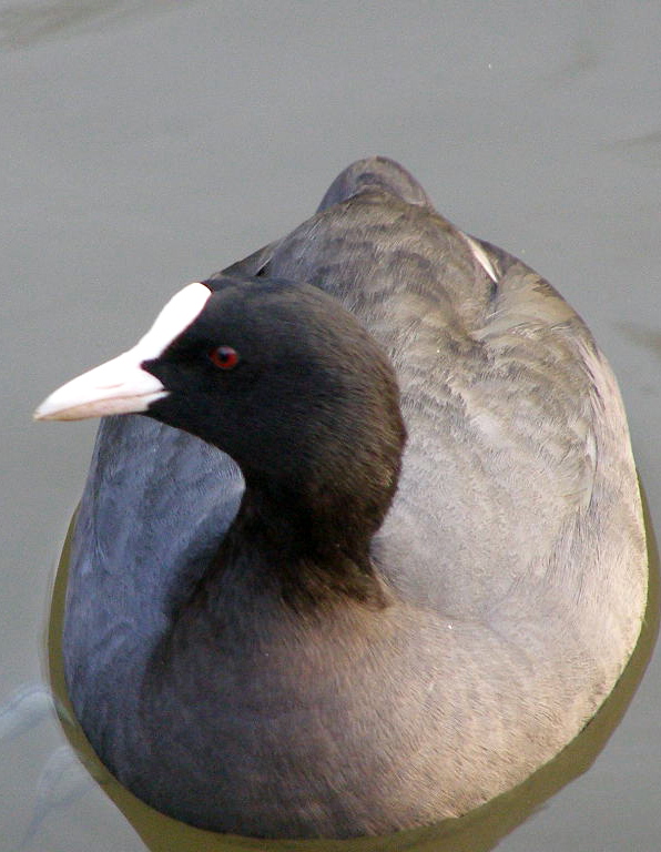 e0064158_227128.jpg