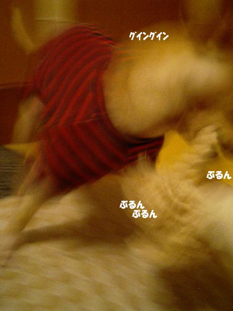 f0046262_21162625.jpg