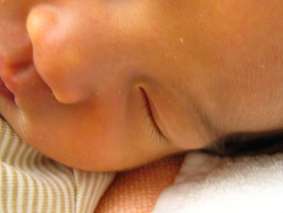 f0049362_10131910.jpg