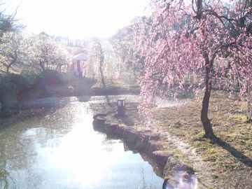a0009666_750977.jpg
