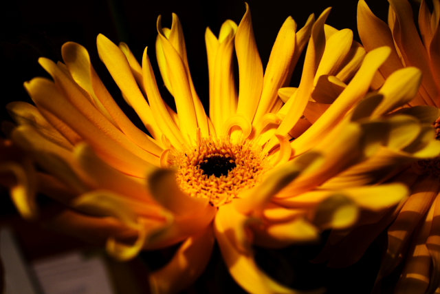 b0027267_049335.jpg