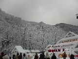 a0077068_1122365.jpg