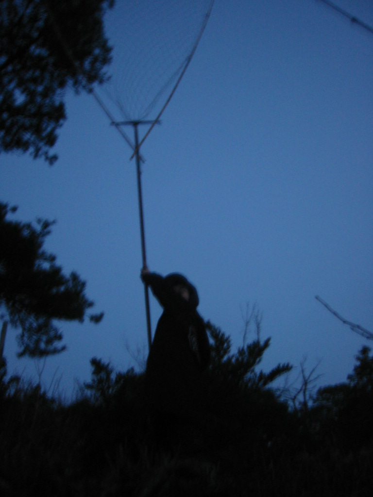 d0094868_10564372.jpg