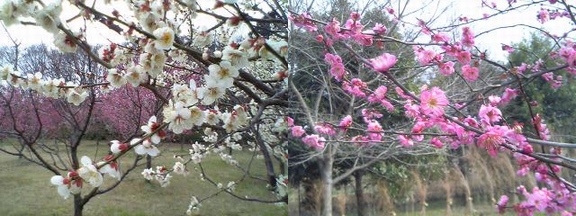 b0013478_19384934.jpg