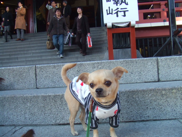 a0067882_172213.jpg