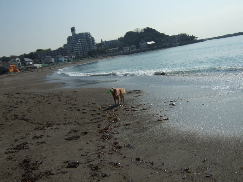 c0104492_0101588.jpg