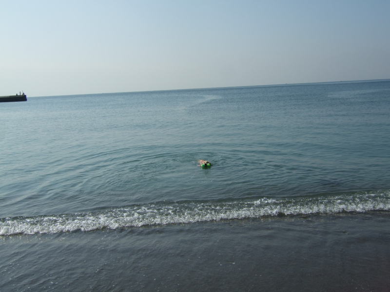 c0104492_0125826.jpg