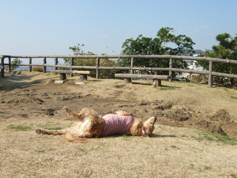 c0104492_0162148.jpg