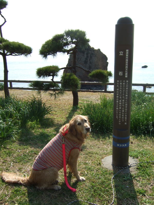 c0104492_0171778.jpg
