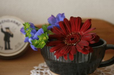 d0100192_22315521.gif