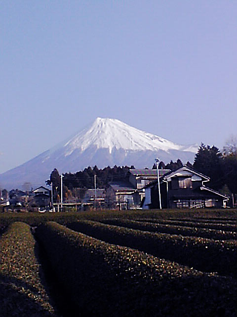 c0067206_1851420.jpg