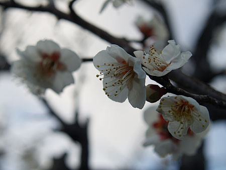 a0041508_23563797.jpg