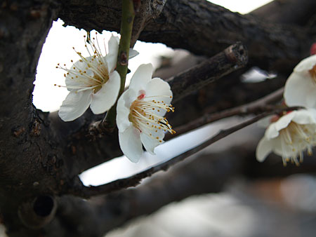 a0041508_23571889.jpg