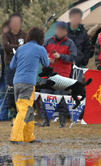 f0108112_2315534.jpg