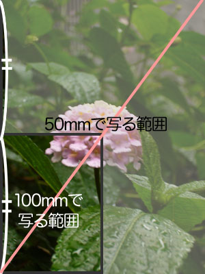 f0056516_22374556.jpg