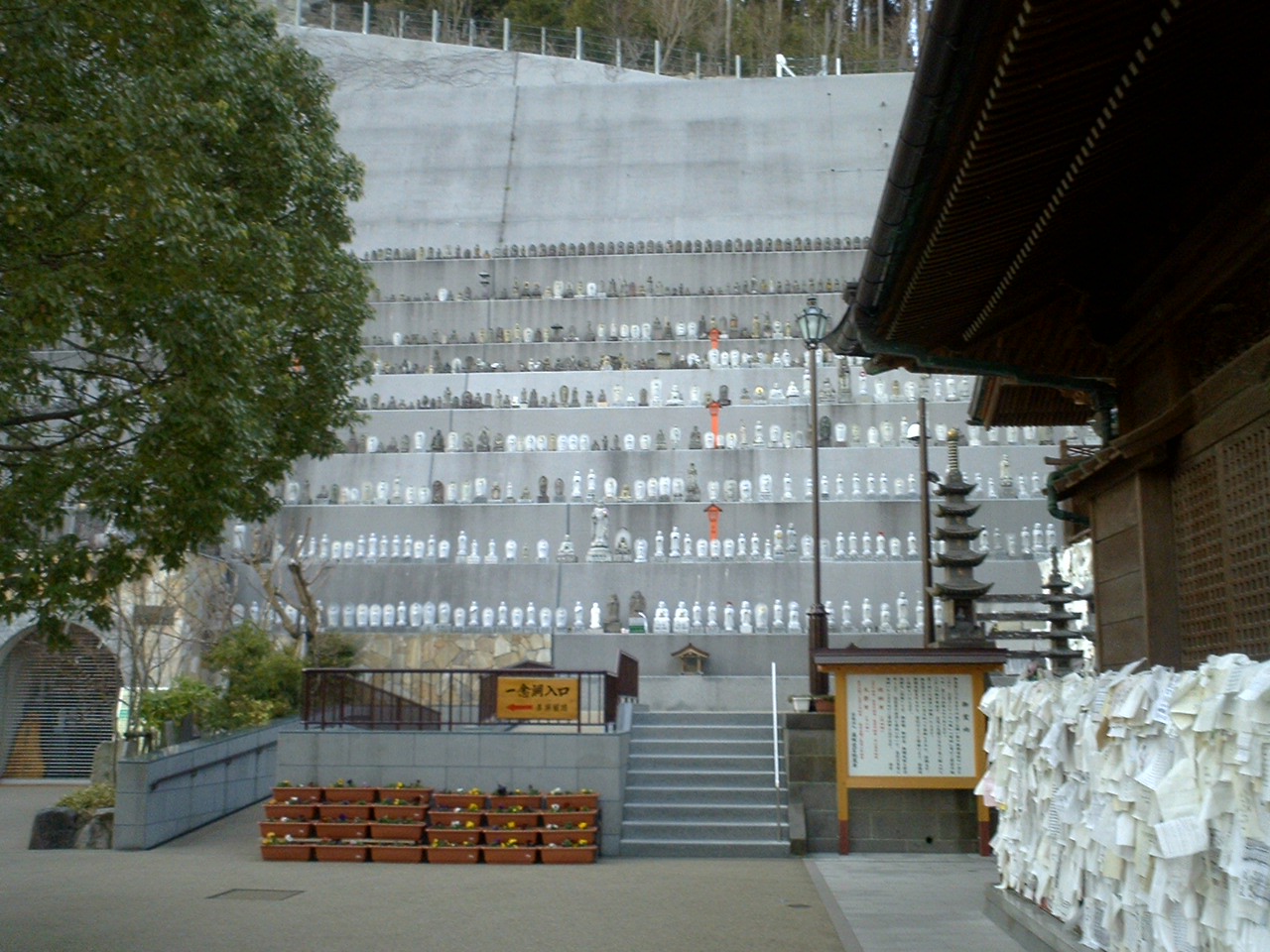 b0063820_1533923.jpg