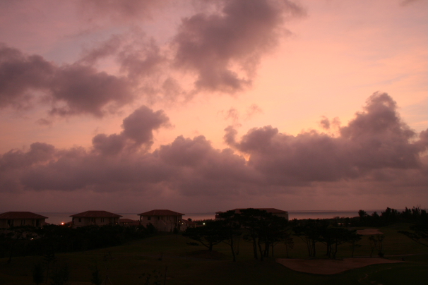 d0027320_23392784.jpg