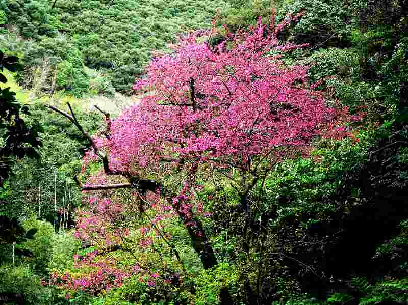 d0053930_12292879.jpg