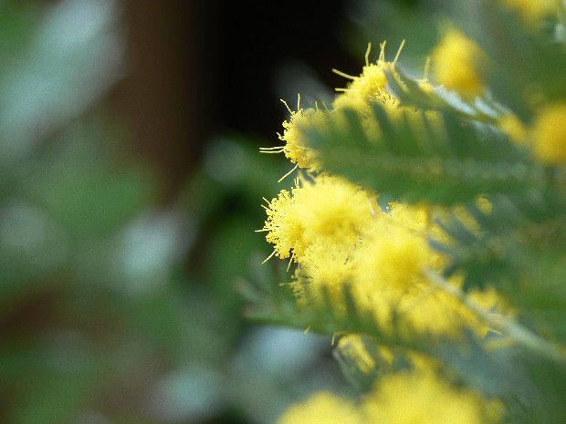e0083238_22534663.jpg