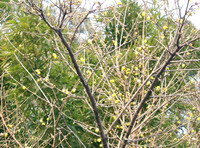 f0104939_2329349.jpg