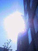d0023742_1356035.jpg