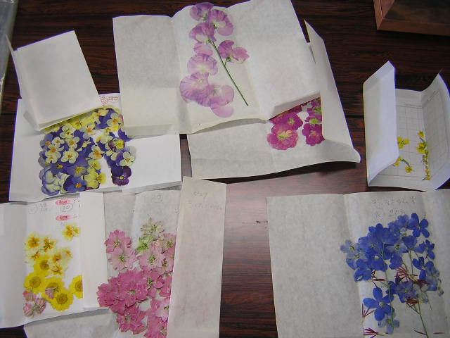 c0113948_14255329.jpg
