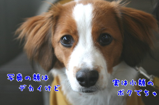 d0013149_0303429.jpg