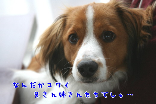 d0013149_0393837.jpg